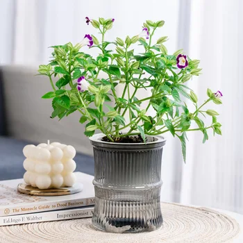 Kõrge Kvaliteediga lillepotte Juhul 1TK Korvid Hingav Selge Korrosioonikindel Flower Pot Kasvab Hüdropooniline Potid